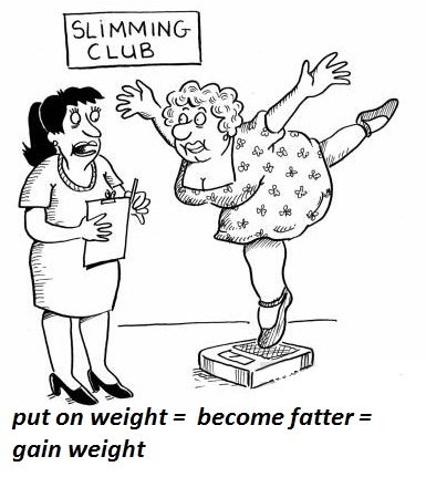 put on - to become fatter - gain weight